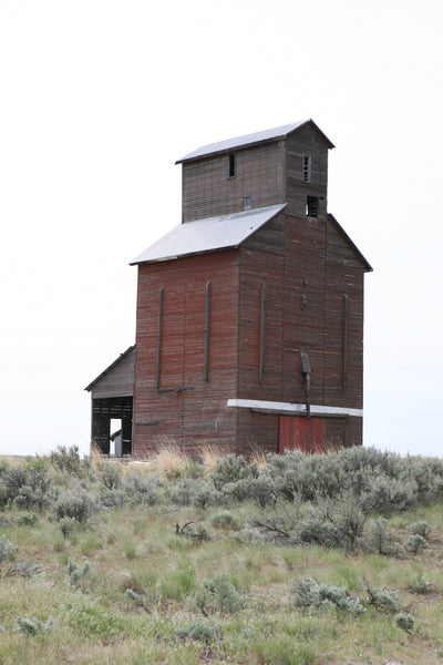 Touhey Grain Elevator - HO